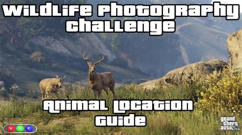 Again, you'll need to have unlocked the Kraken sub first so use our GTA 5 Wildlife Photography Challenge guide to get it. . Wildlife photography challenge gta 5